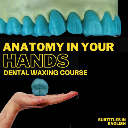 Dental Waxing Course (Portuguese Language - Subtitles: English and Español)
